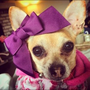 Meet your Posher, Karah